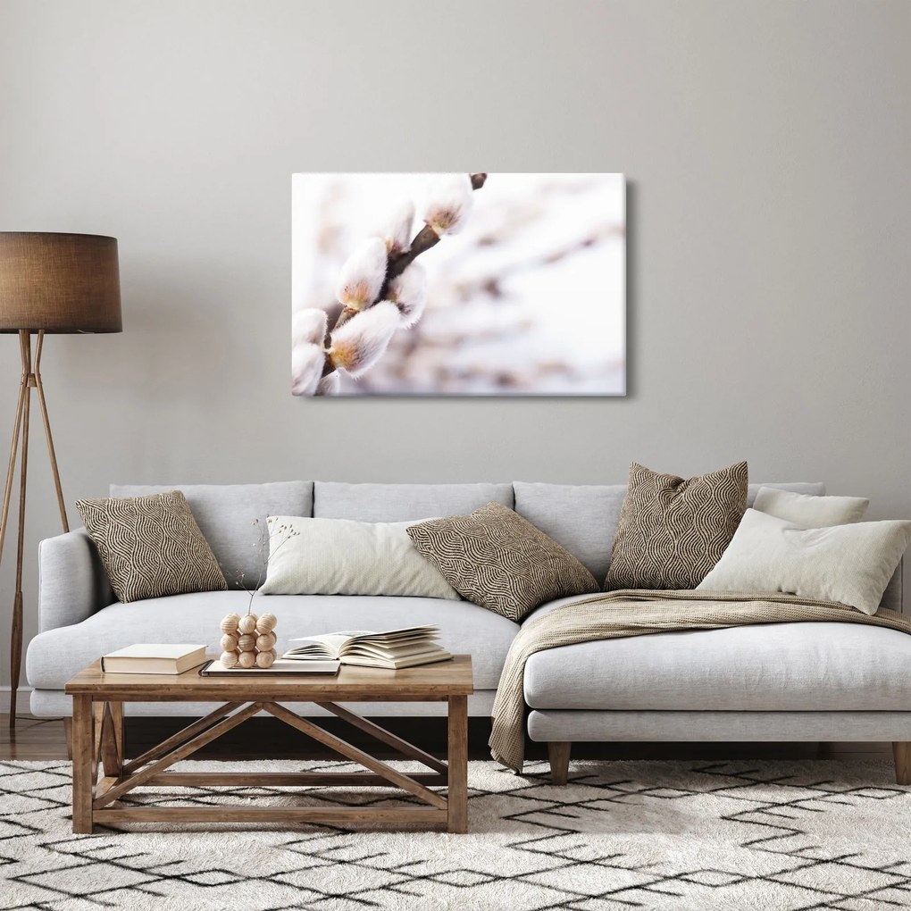 Obraz - Vetva mačičky (90x60 cm)