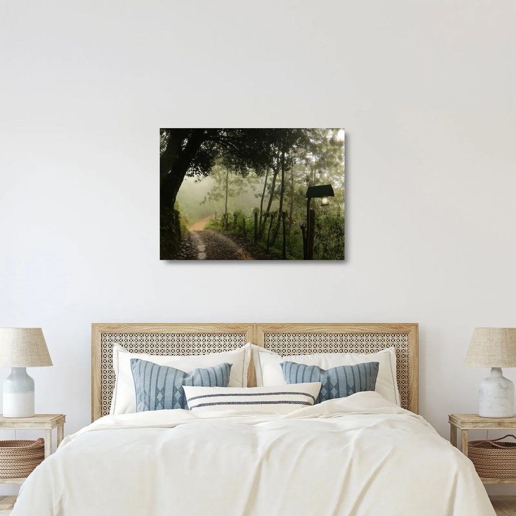 Sklenený obraz rannej hmly (70x50 cm)