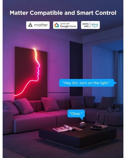 Govee - Neon 2 MATTER ohybný LED pás 3m RGBIC Wi-Fi
