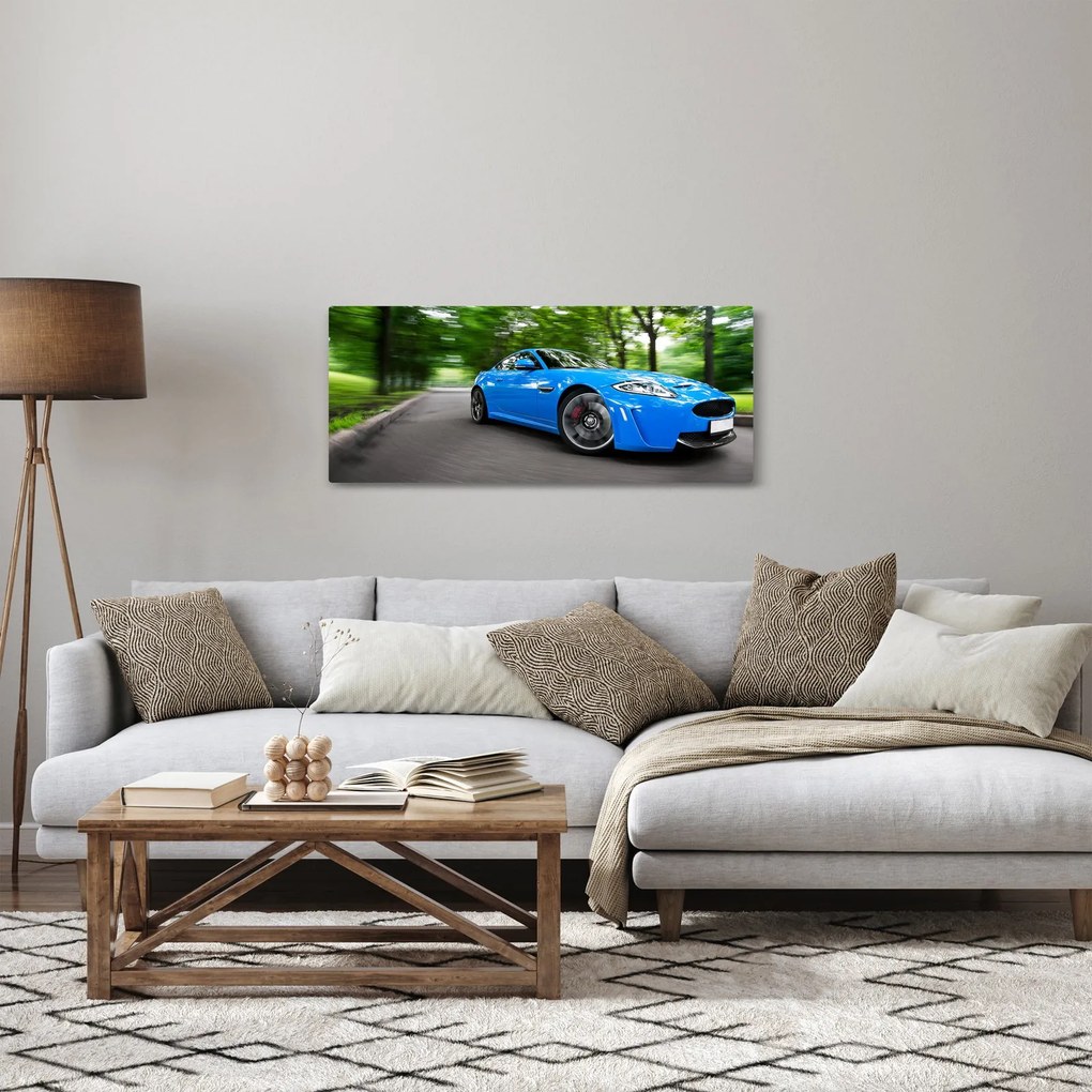 Obraz - Závodné auto (120x50 cm)