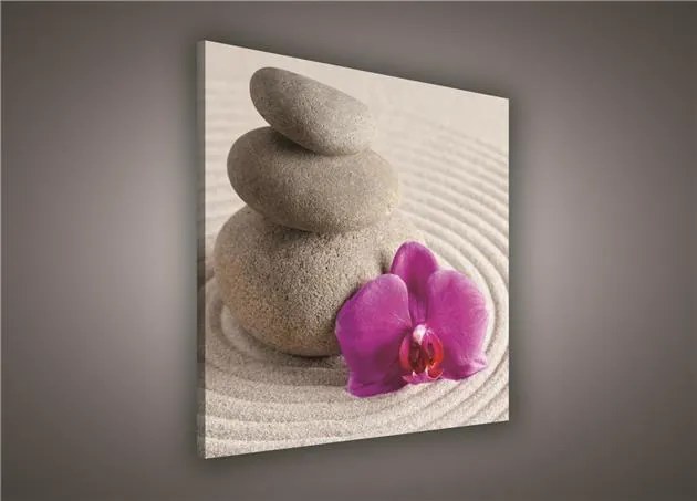 Obraz na stenu wellness orchidea 80 x 80 cm