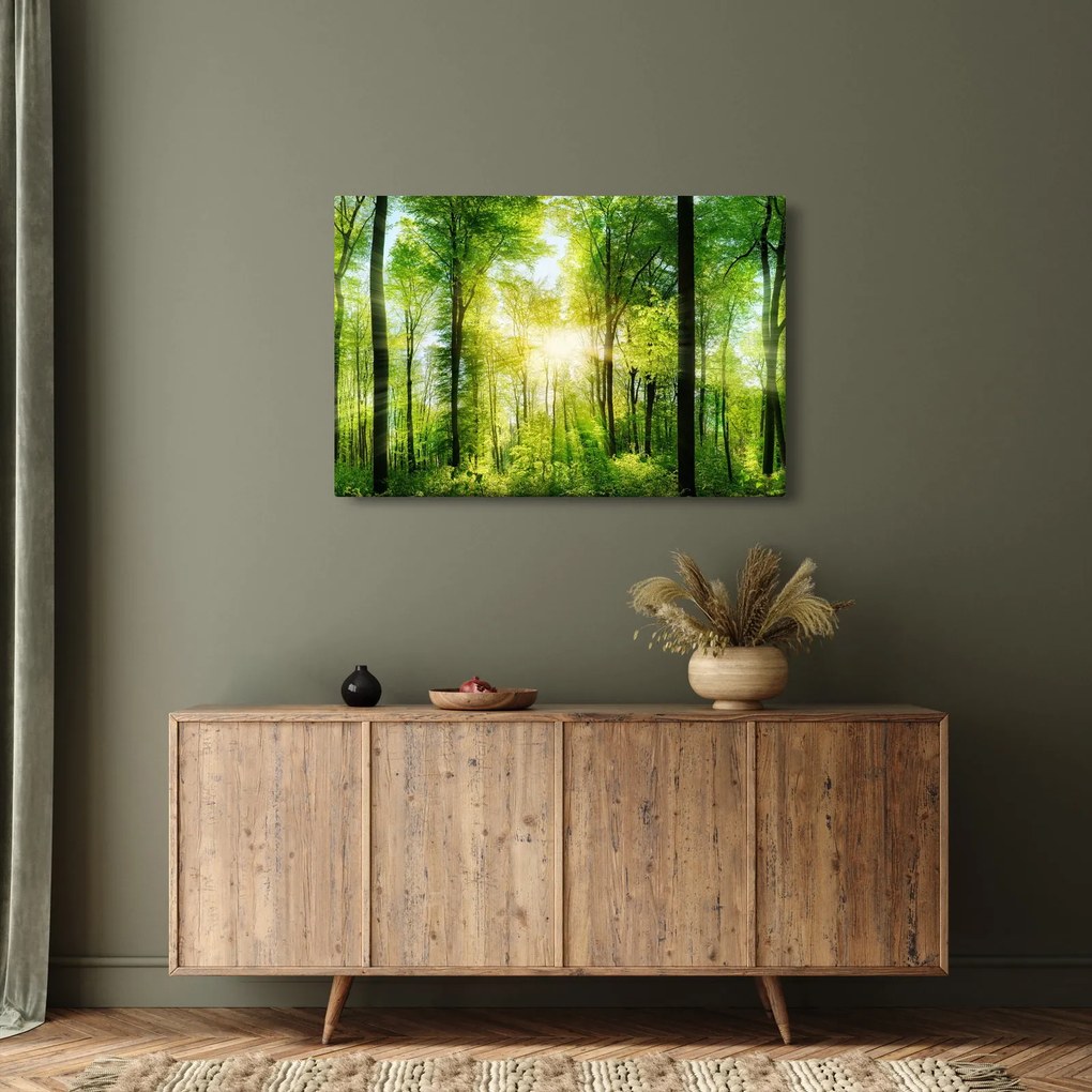 Obraz - Svitanie v lese (90x60 cm)