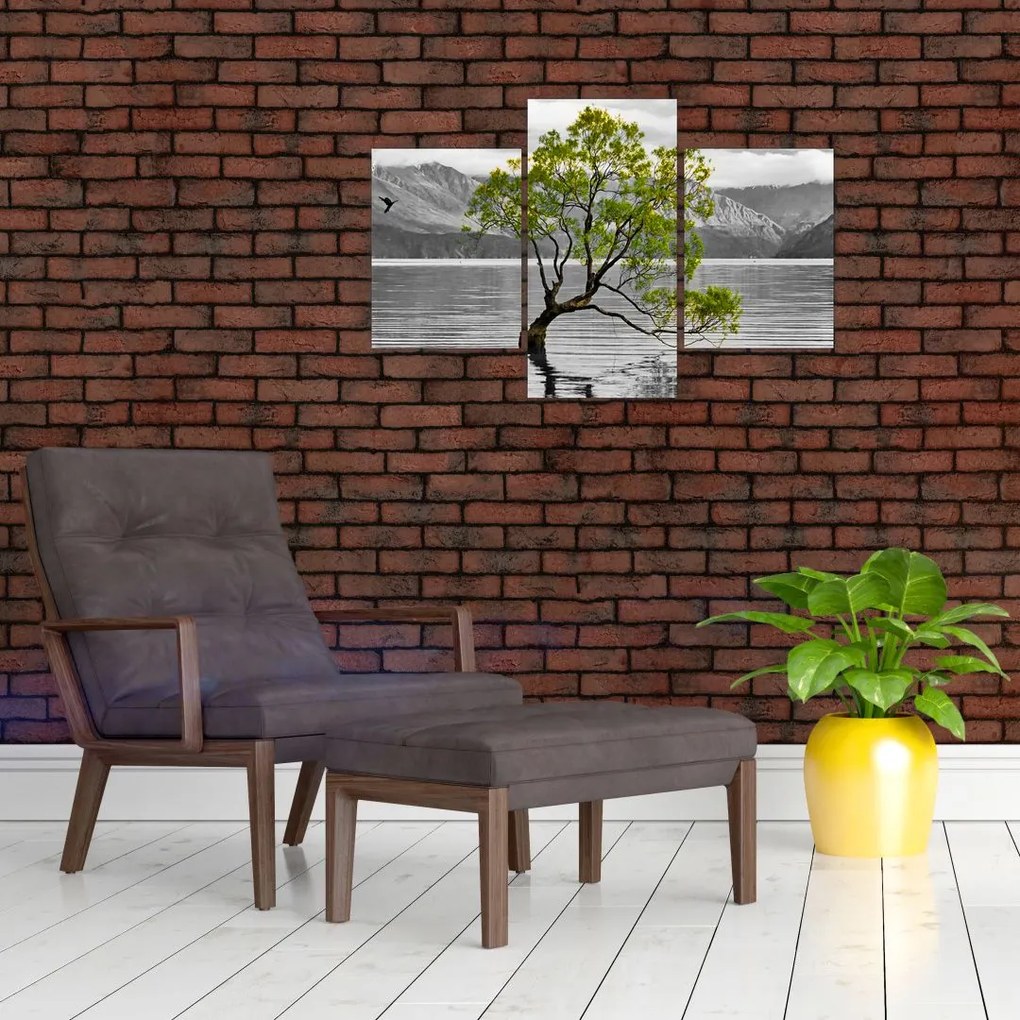 Obraz stromu uprostred jazera (90x60 cm)