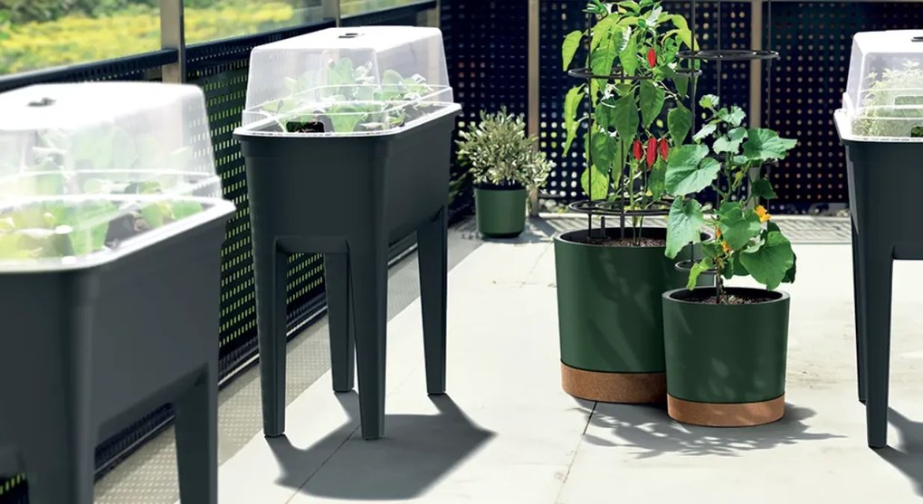 Kvetináč na pestovanie rajčín HOME GROWERO antracit