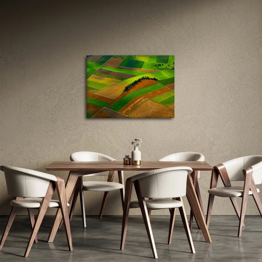 Obraz - Polia, lúky (70x50 cm)