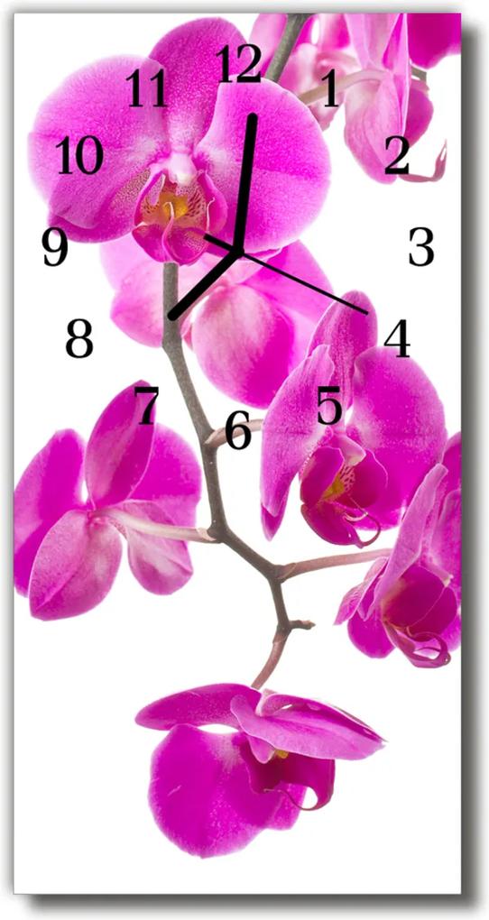 Sklenené hodiny vertikálne  Kvetinové ružové orchidey