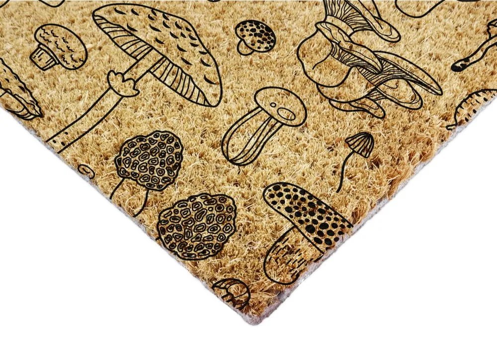 Rohožka z kokosového vlákna 40x60 cm Mushrooms – Artsy Doormats