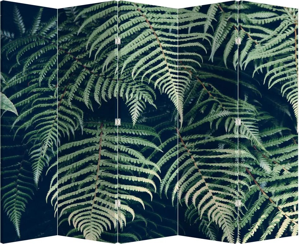 Paraván - Listy papradí (210x170 cm)