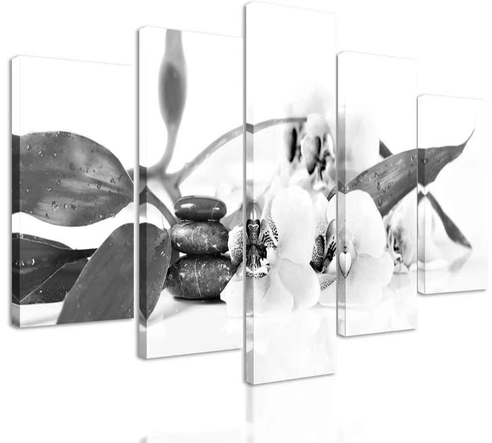 5-dielny obraz ukľudňujúce Zen zátišie s kvetmi orchidei v čiernobielom prevedení