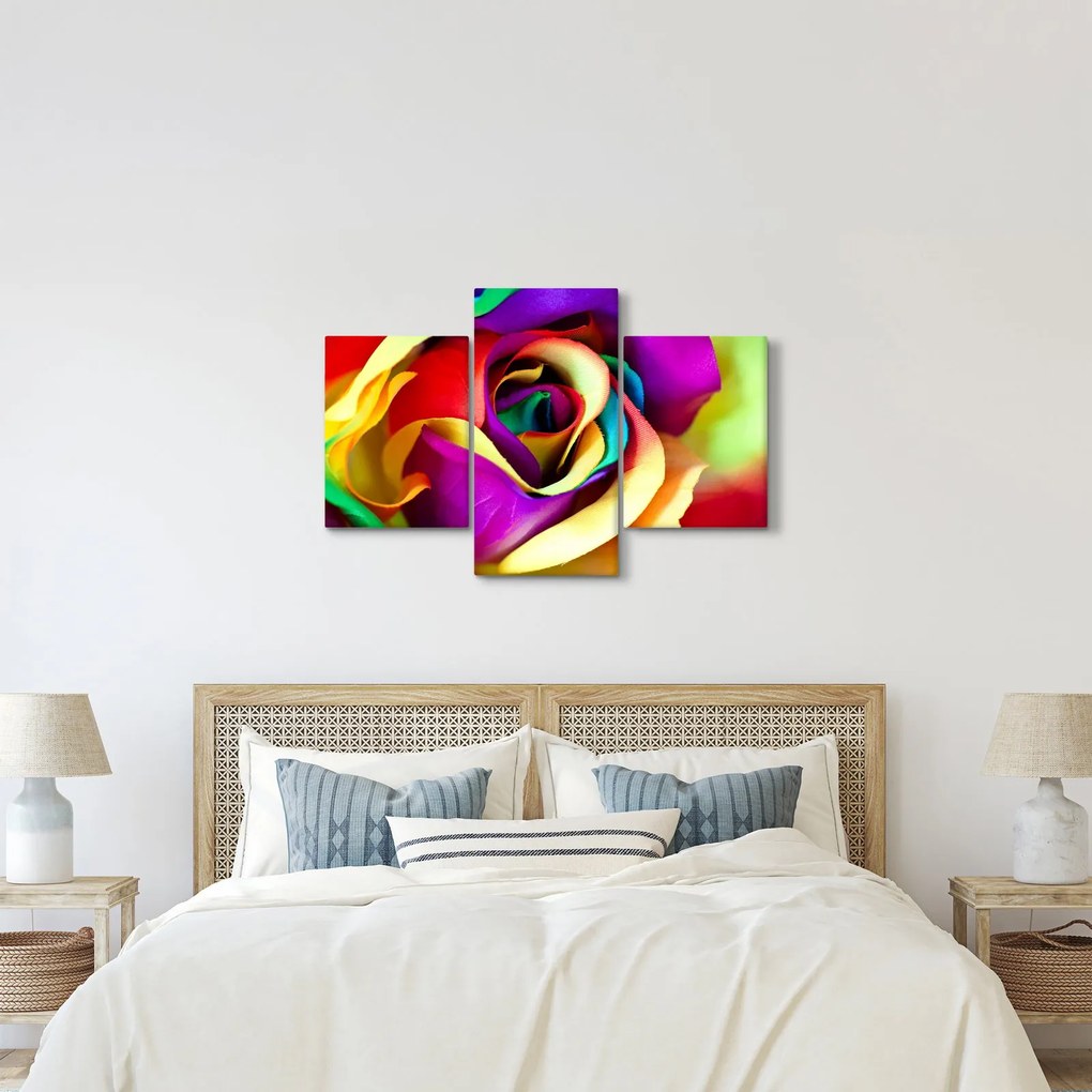 Obraz - Farebná ruža (90x60 cm)
