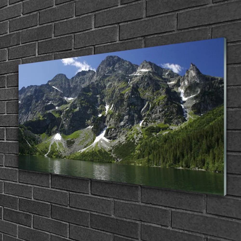 Skleneny obraz Hory jazero les príroda 125x50 cm