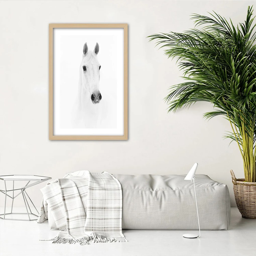 Gario Plagát Sivý kôň Farba rámu: Bez rámu, Rozmery: 70 x 100 cm