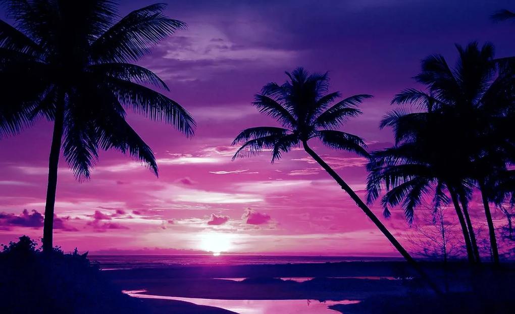 Fototapeta - Tropická pláž (254x184 cm)