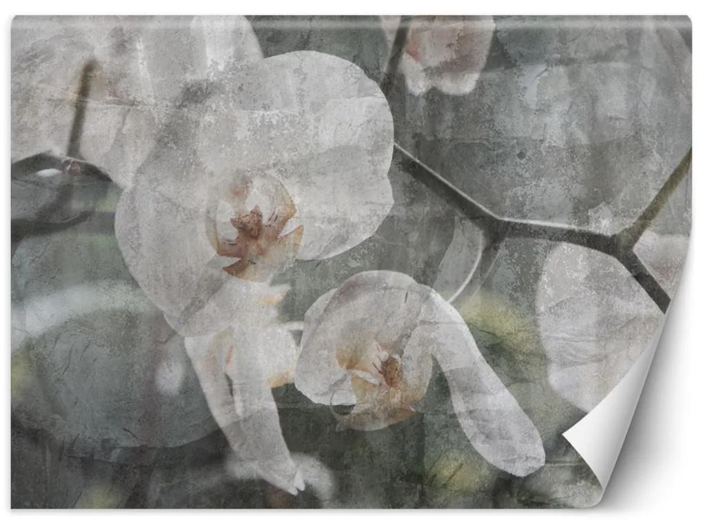Fototapeta, Květy orchidejí - retro - 200x140 cm