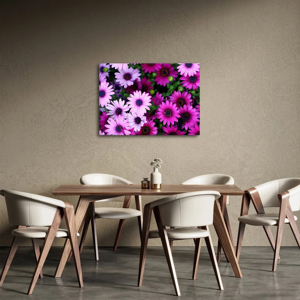 Obraz - Kvety (70x50 cm)