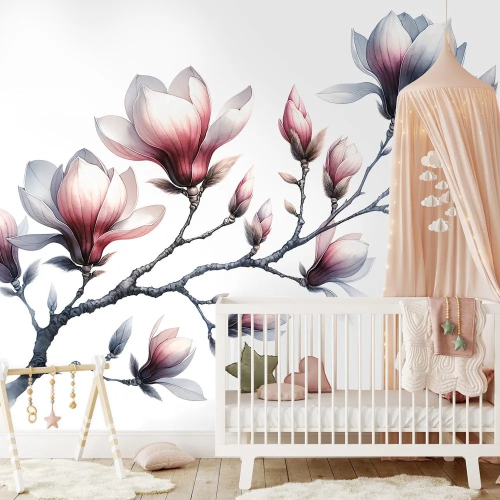 Fototapeta jemné magnólie na bielom pozadí