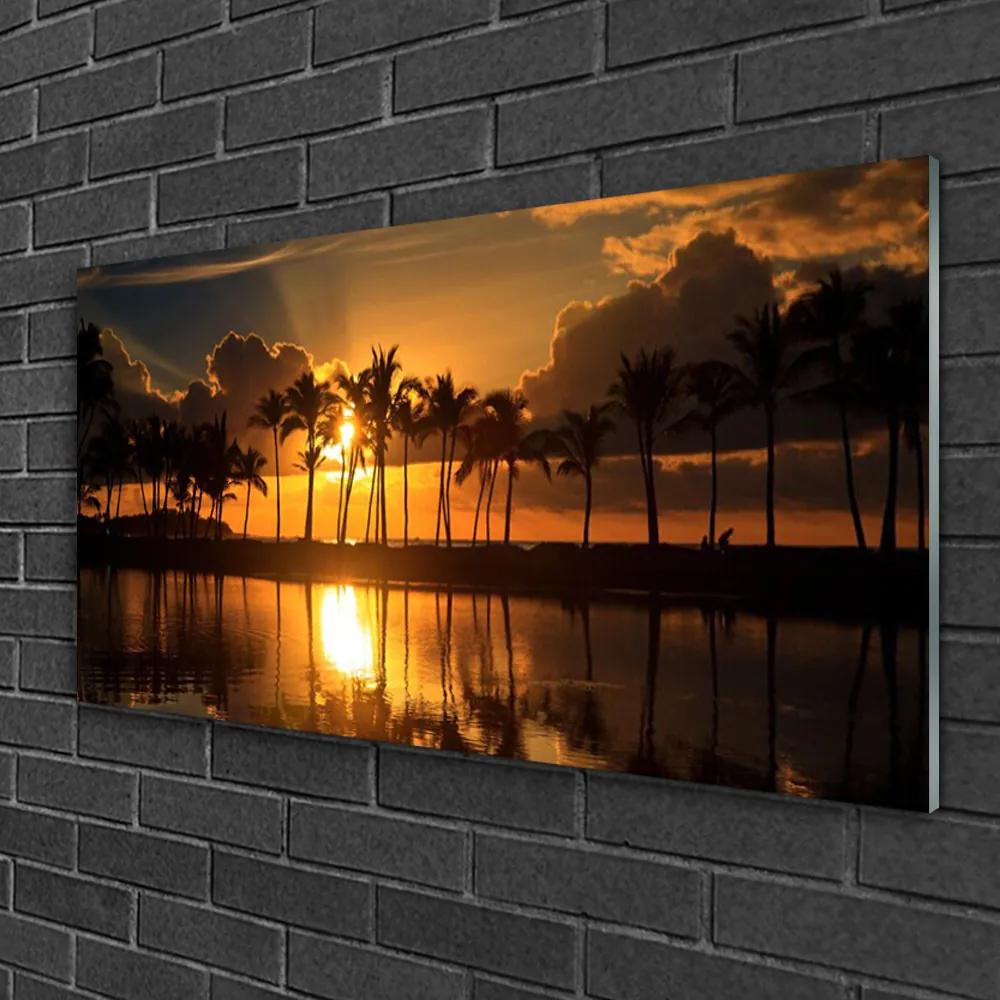 Obraz na skle Stromy slnko krajina 120x60 cm