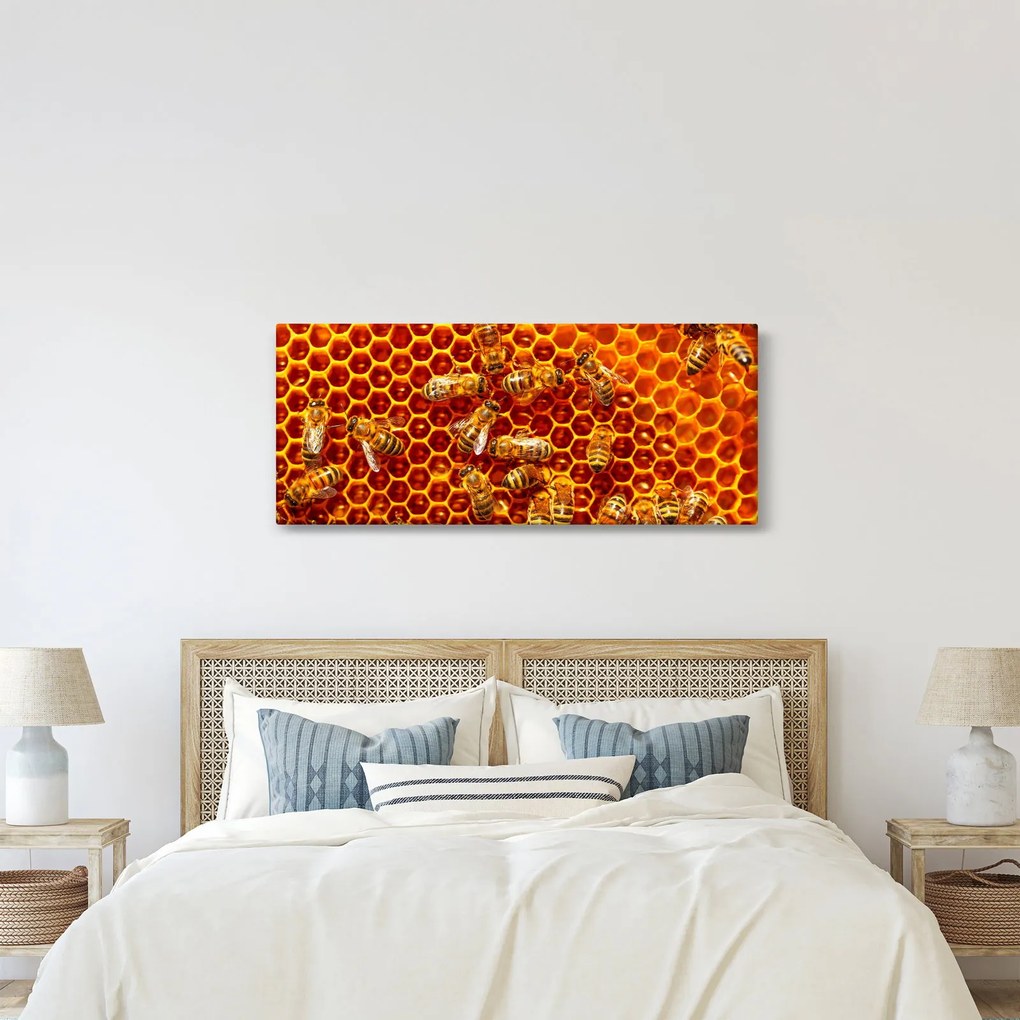 Obraz - Medový plást (120x50 cm)