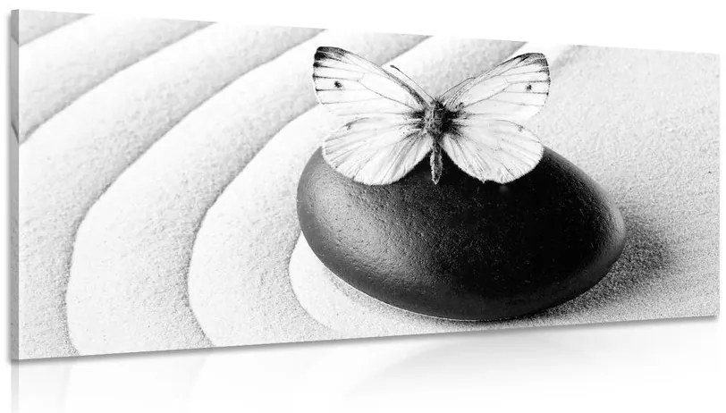 Obraz Zen kameň s motýľom v čiernobielom prevedení Varianta: 100x50