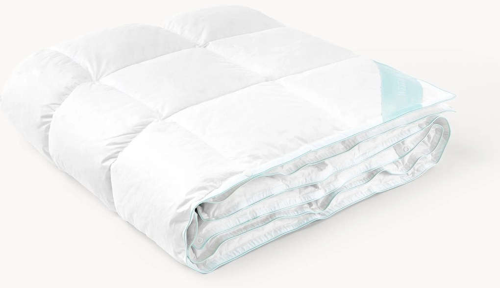 Paplón z čistého páperia Premium, ľahký