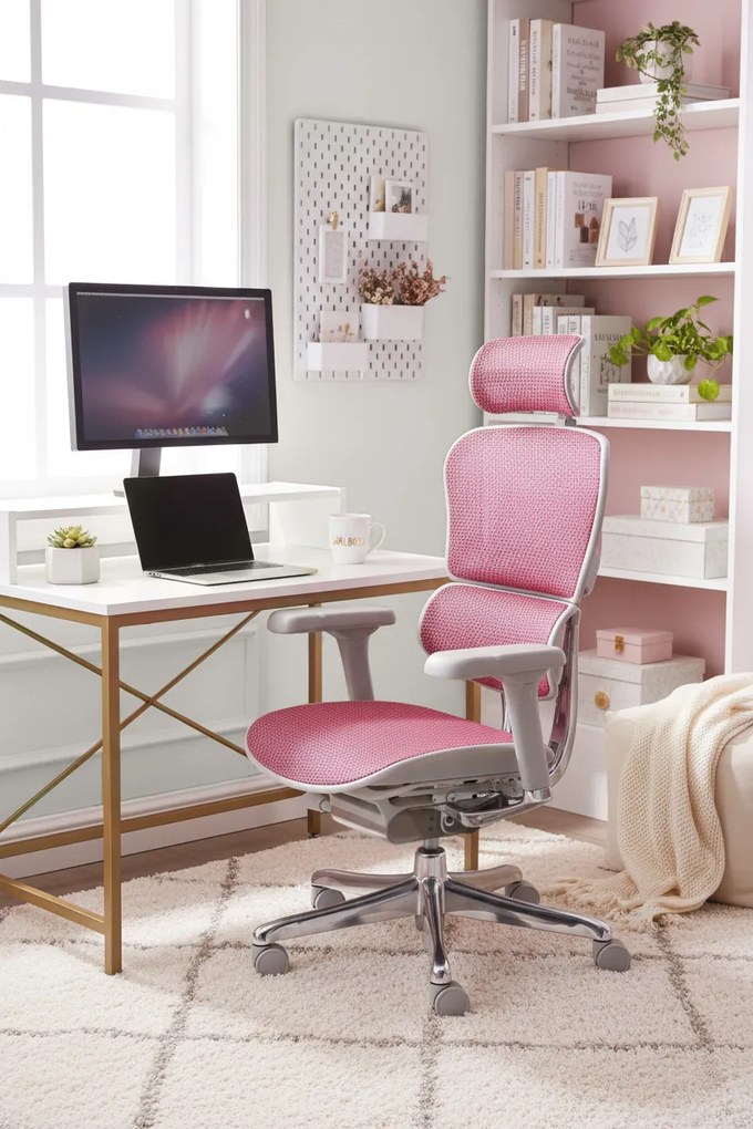Grospol - Kancelárske kreslo Ergohuman 2 Elite GS Pink