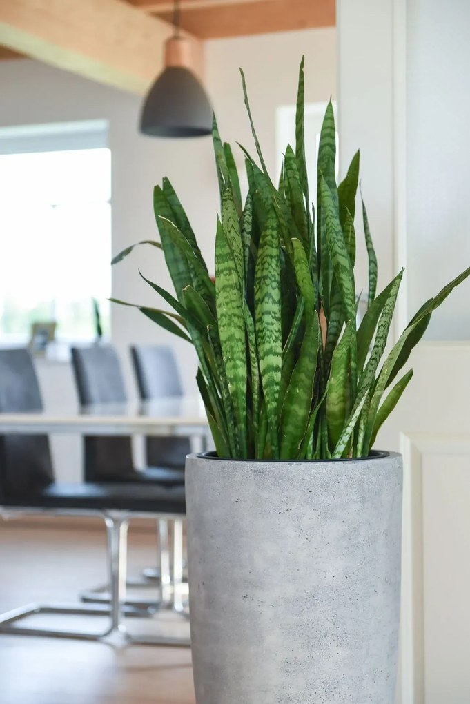 Kvetináč CITY, sklolaminát, výška 80 cm, betón design, sivý