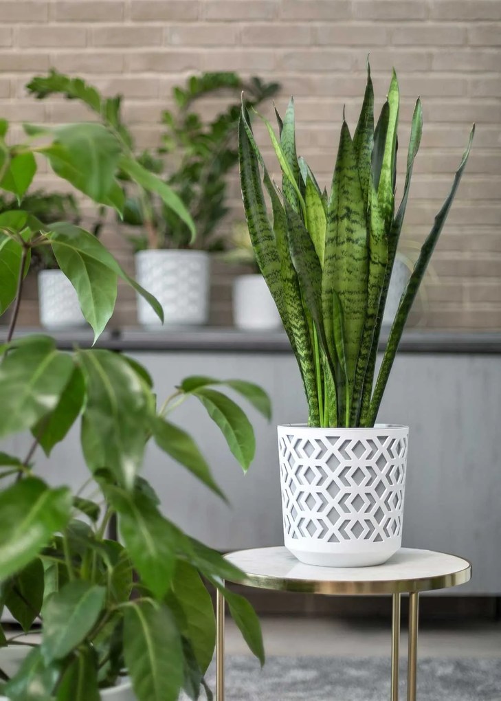 PLASTOVÝ KVETINÁČ ETNIC SADA 2KS 14,8X13,9 CM+20,1X19,5 CM BIELA