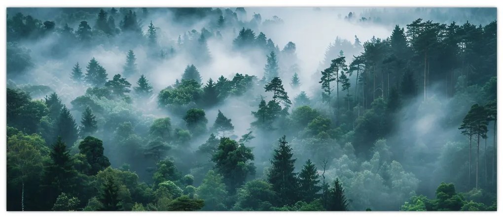 Obraz - Les v hmle (120x50 cm)