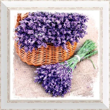 Rámovaný obraz 40x40cm FAP513