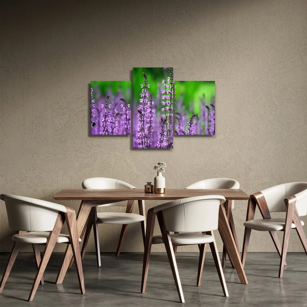 Obraz fialových lúčnych kvetov (90x60 cm)