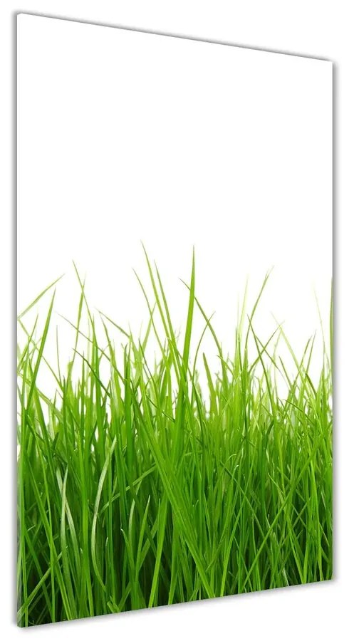 Foto obraz akrylový do obývačky Zelená tráva pl-oa-70x140-f-66476309