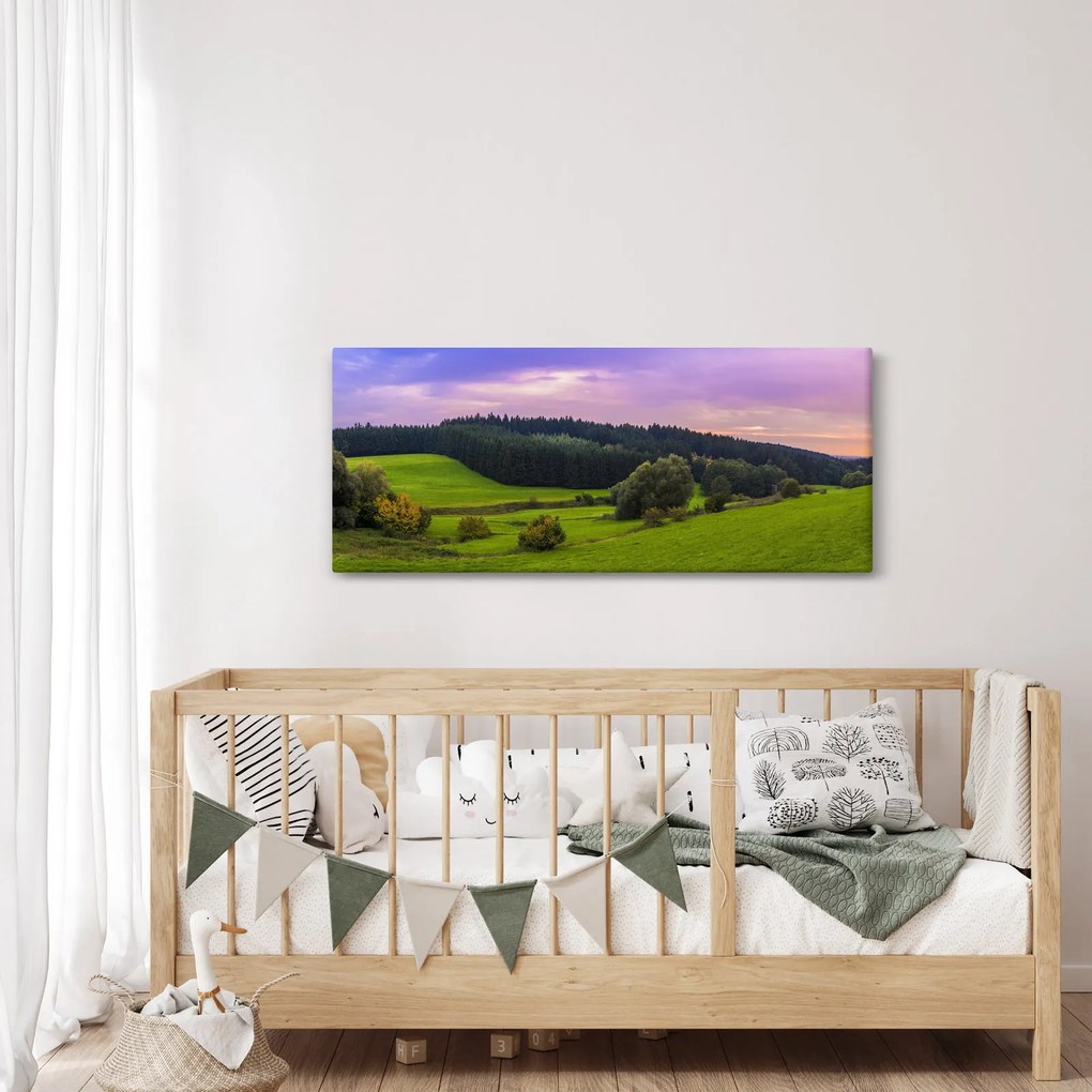 Obraz lúky (120x50 cm)