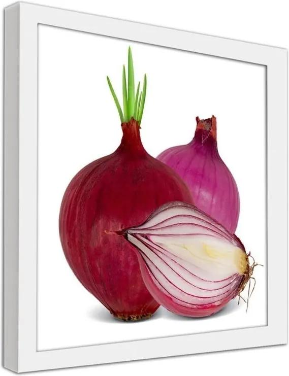 CARO Obraz v ráme - Red Onion Biela 20x20 cm