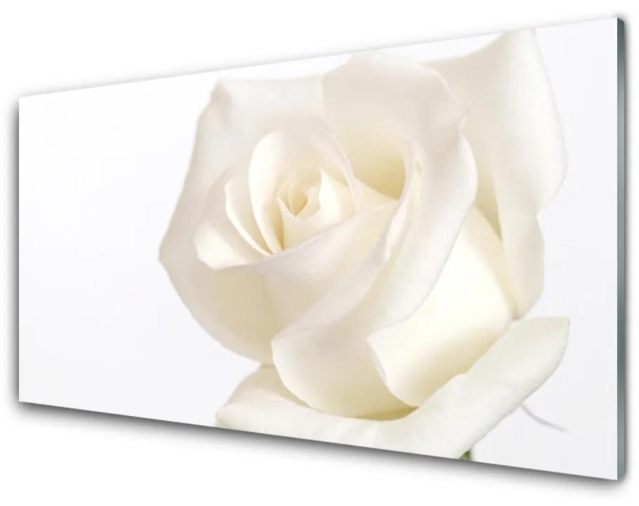 Skleneny obraz Ruže kvety 120x60 cm