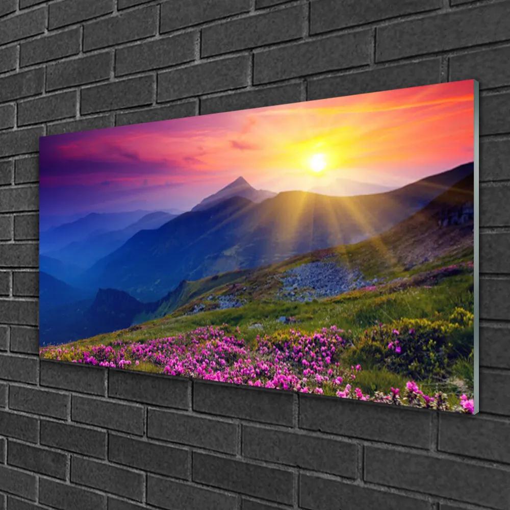 Obraz na skle Hory kvet lúka krajina 125x50 cm