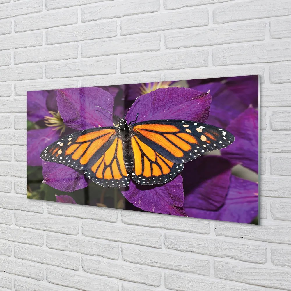 Obraz na akrylátovom skle Farebný motýľ kvety 100x50 cm