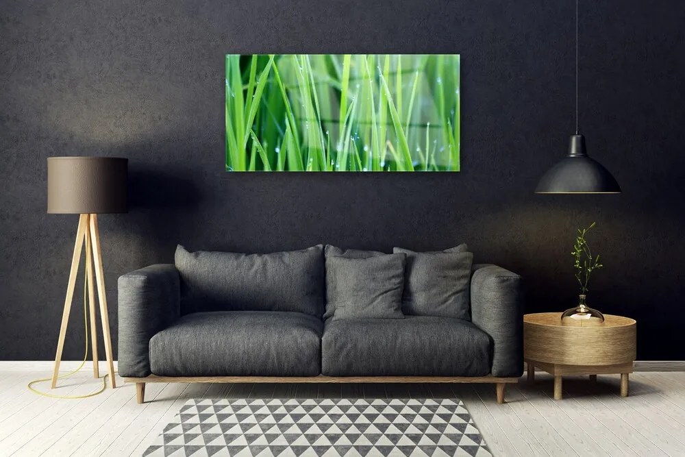 Skleneny obraz Tráva kvapky rastlina príroda 120x60 cm