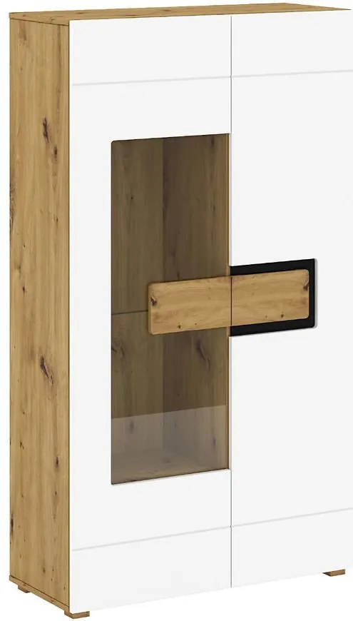 Vitrína Pawel C 2D sklo