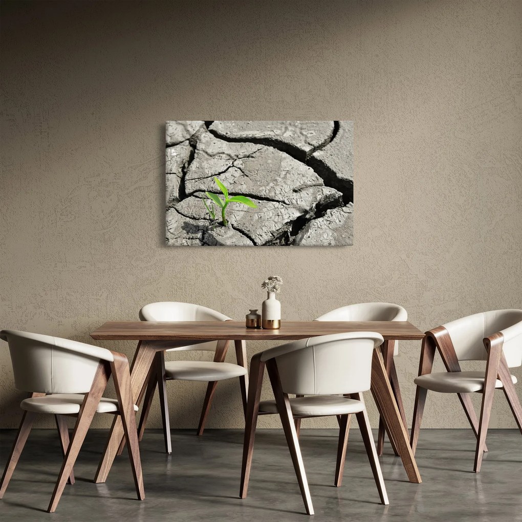 Obraz - Praskliny (90x60 cm)