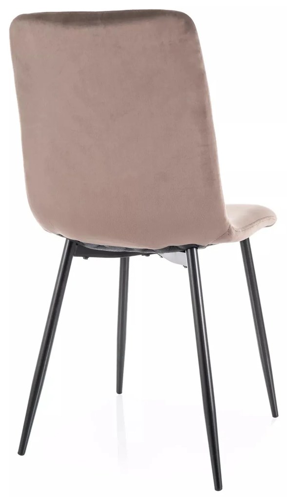 Zamatová jedálenská stolička Daren cappuccino/čierna