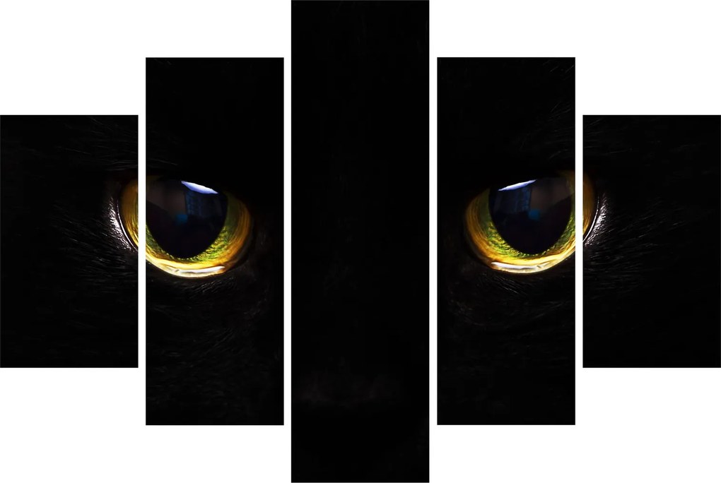 Obraz - Mačacie oči (150x105 cm)