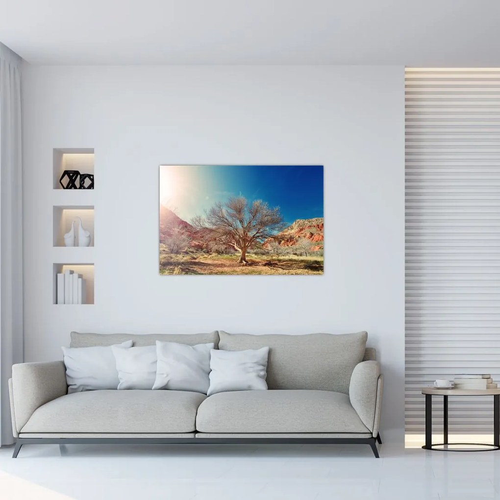 Obraz stromu v púšti (90x60 cm)