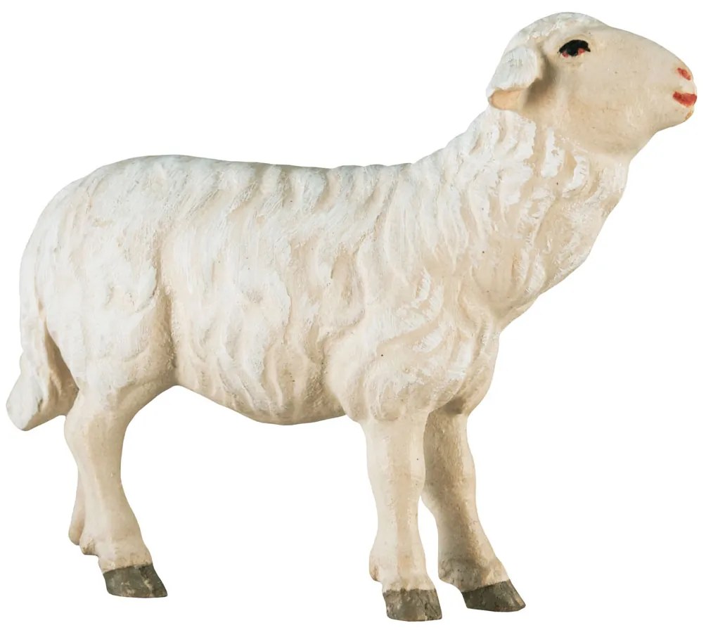 Ovečka pred pastierom - Ľudový
