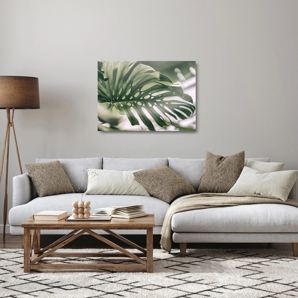 Sklenený obraz - List monštier (70x50 cm)