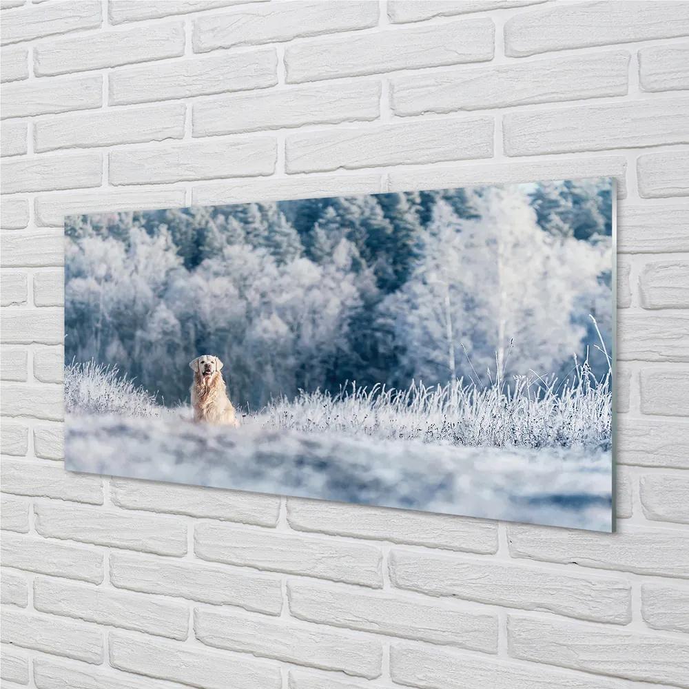 Obraz na akrylátovom skle Zime salašnícky pes 125x50 cm