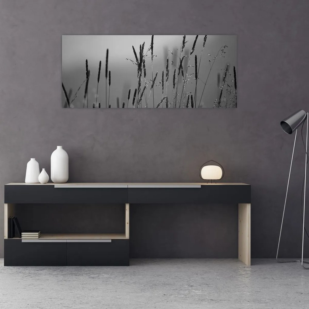 Obraz - Steblá trávy (120x50 cm)