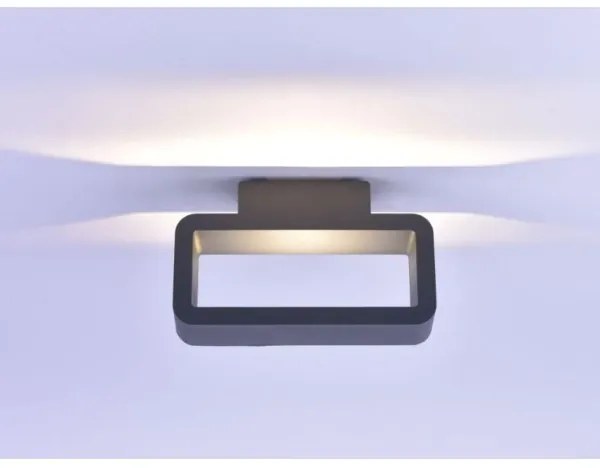 Paul Neuhaus 9668-13 - LED Vonkajšie nástenné svietidlo HENDRIK LED/5,2W/230V IP54