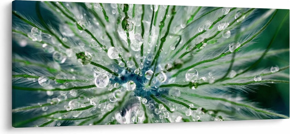 Obraz - Makro snímka kvetu (120x50 cm)
