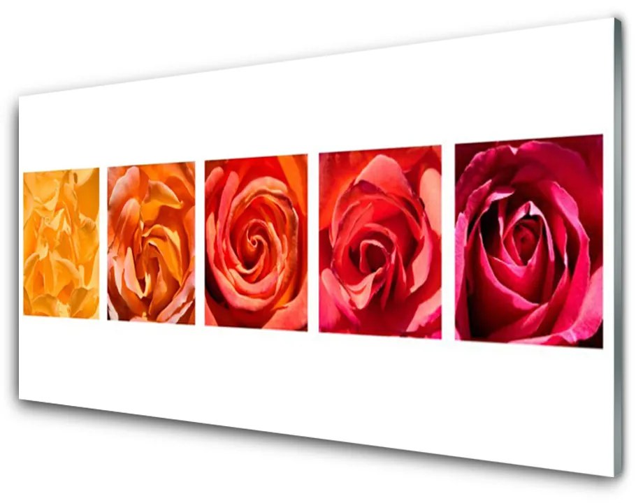 Sklenený obklad Do kuchyne Ruže kvety rastlina 100x50 cm