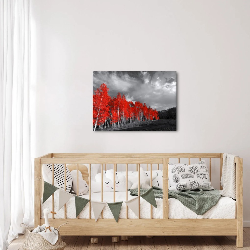 Obraz - Stromy vo farbe jesene (70x50 cm)